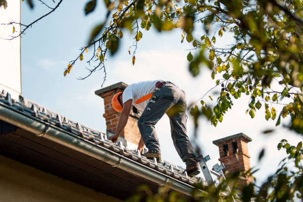 Best Roof Gutter Cleaning  in Long Branch, VA