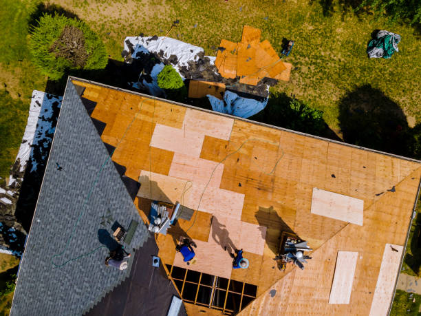 Best Commercial Roofing Services  in Long Branch, VA