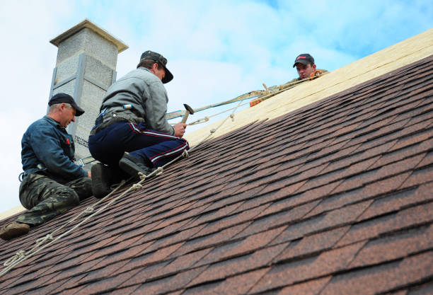 Best Metal Roofing Contractor  in Long Branch, VA