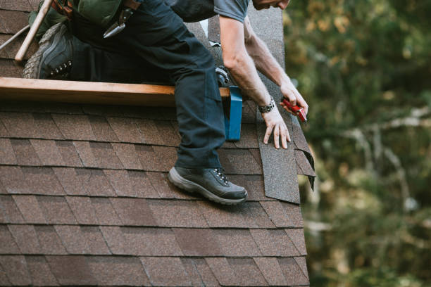 Quick and Trustworthy Emergency Roof Repair Services in Long Branch, VA
