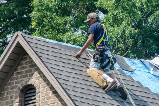 Roof Gutter Cleaning in Long Branch, VA